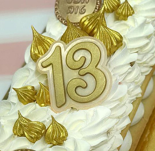 ������ 13