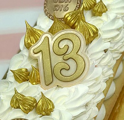 ������ 13