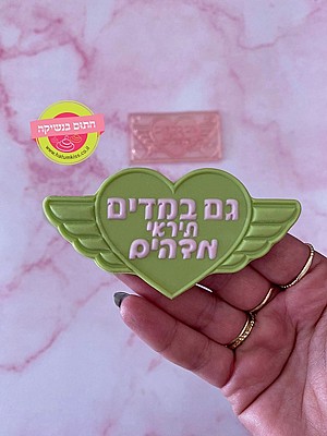 ����� ����� ����� �����