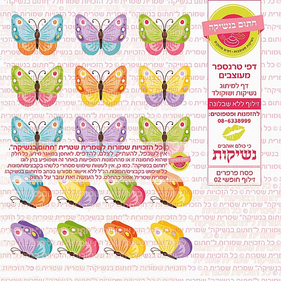 ��� ������ ����� ����� 02