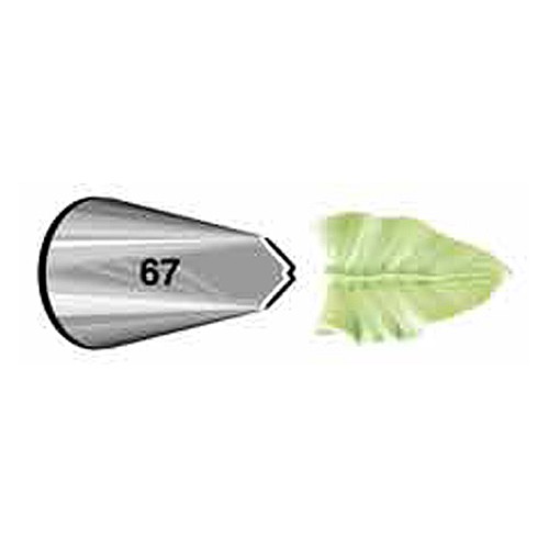 ���� 67