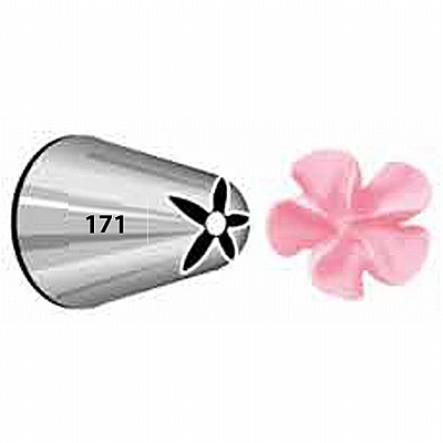 צנטר 171 צנטר 171