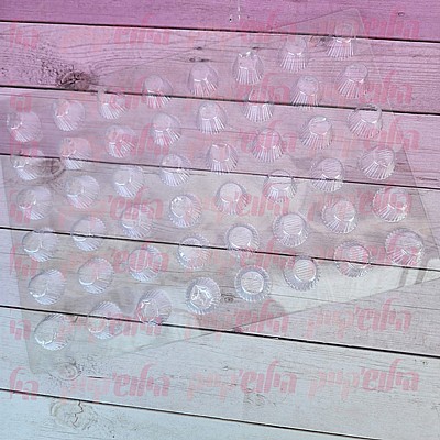 ����� ������ ������ ���� - 48 ����� 