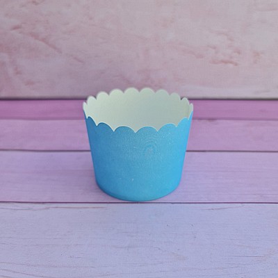 �������� ���� ���� 