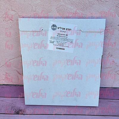 ���� ��� ����