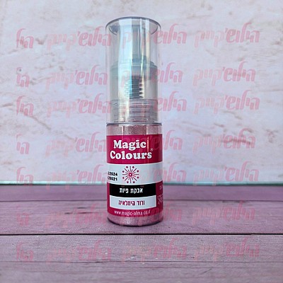 ���� ����� ���� ����