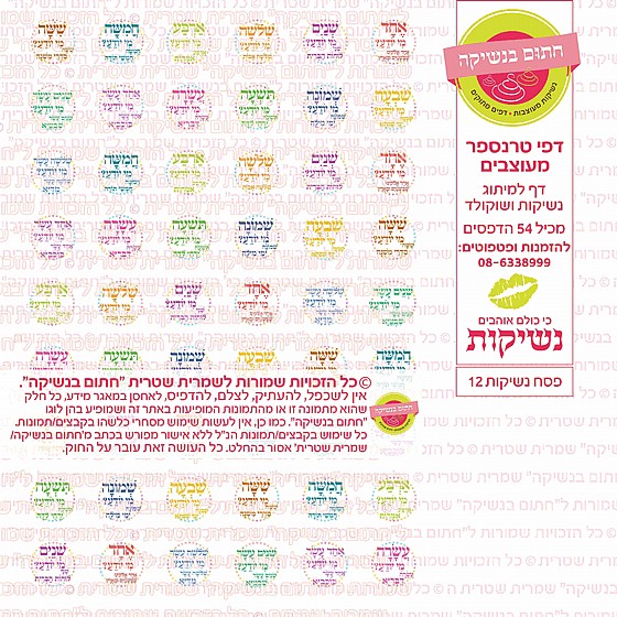 ������ ���� 12