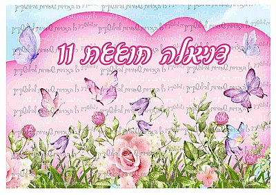 דף סוכר פרפרים 101 דף סוכר פרפרים 101
