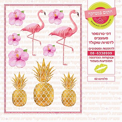 פלמינגו 02 פלמינגו 02