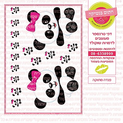 פנדה מתוקה פנדה מתוקה