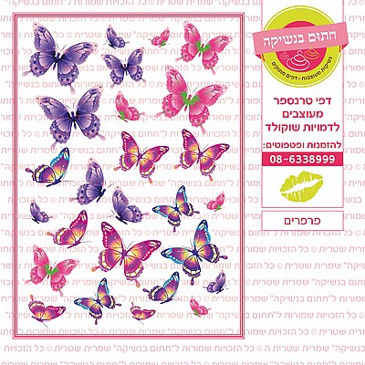 פרפרים פרפרים