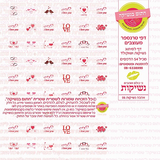 ������ ������ ���� 06