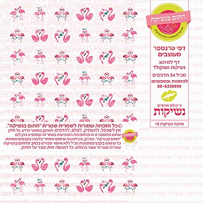 טרנספר נשיקות אהבה 18 טרנספר נשיקות אהבה 18