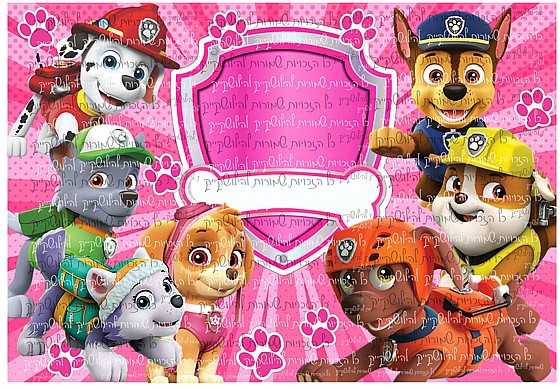 �� ���� ���� ���� 03